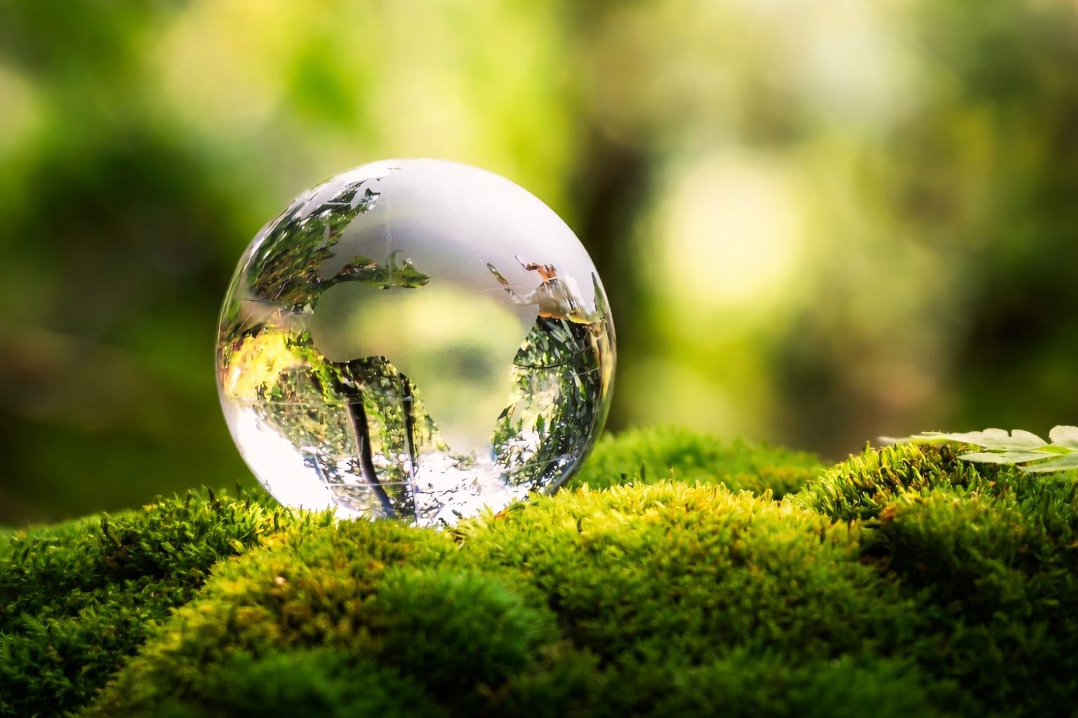 Compromiso ambiental TerraPreta